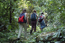 Honduras-Honduras-Honduras Multisport